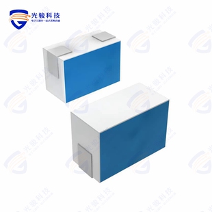 LQP03HQ1N0C02D《FIXED IND 1NH 1.1A 40 MOHM SMD》