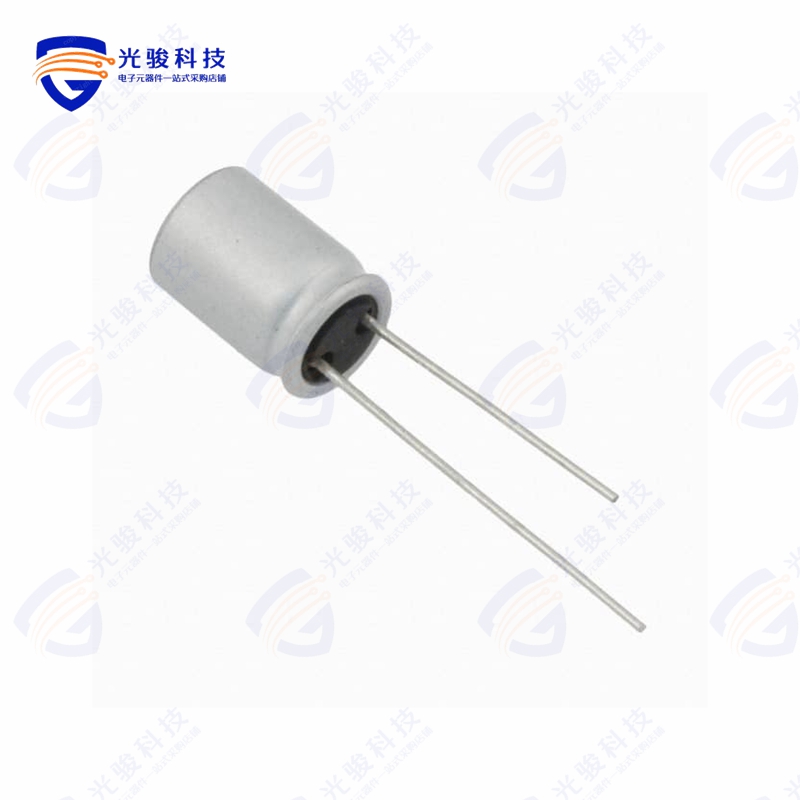 RR71C101MDN1《CAP ALUM POLY 100UF 20% 16V T/H》