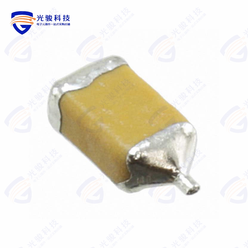 F951A107MAAAQ2《CAP TANT 100UF 20% 10V 1206》