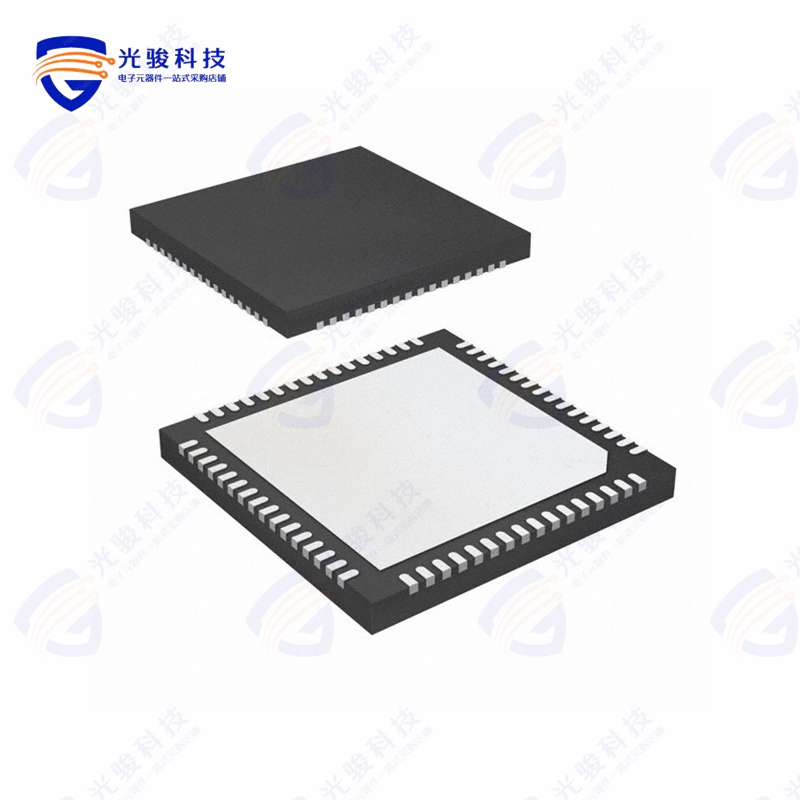 CMX983Q1《BASEBAND INTERFACE FOR DIG RADIO》