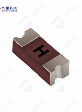 SF-2410SP160W-2《FUSE BRD 1.6A 250VAC/125DC 2410》