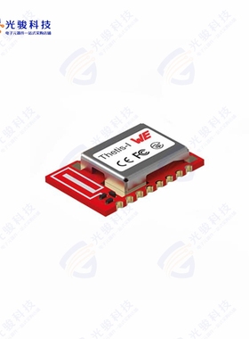 2611011021010《THETIS-I WIREPAS MESH MODULE 2.4》