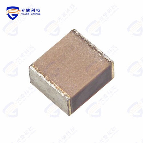 ECH-U1224JCV《CAP FILM 0.22UF 5% 100VDC 2825》