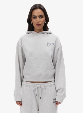 外贸原单WHS*C美洲雪地高级简约经典重磅宽松加绒连帽卫衣C5 2510