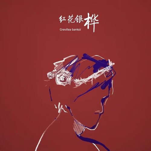 定制产品样品链接，定做不支持退换