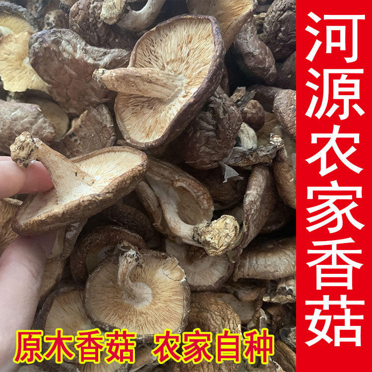 新货粤北特产和平椴木香菇黑面菇花菇香信野外菇河源特产散干冬菇