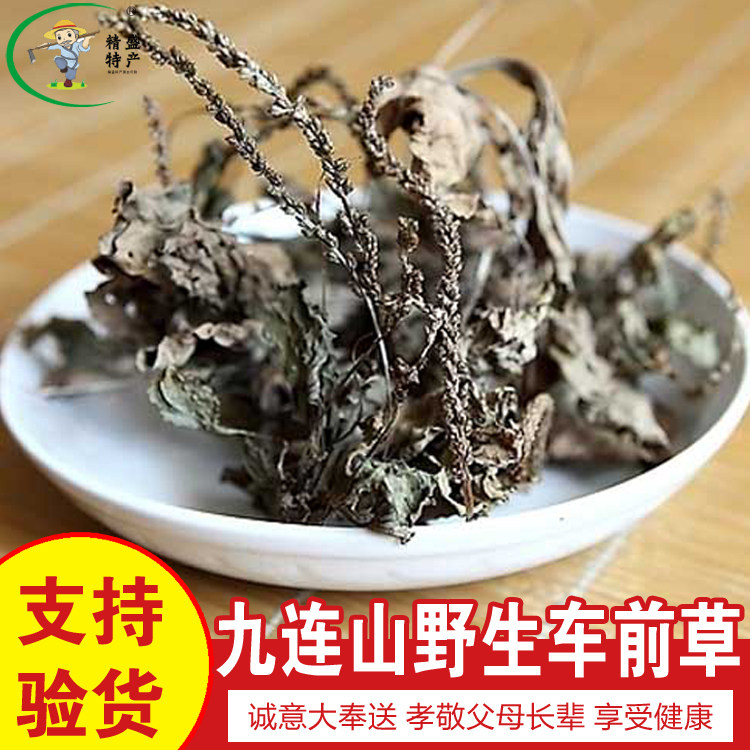 2025年新货农家精选野生车前草