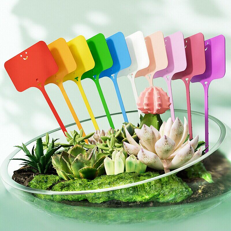 苗木花盆塑料多肉标签花卉园艺插地牌盆栽植物名字标牌防水小插牌