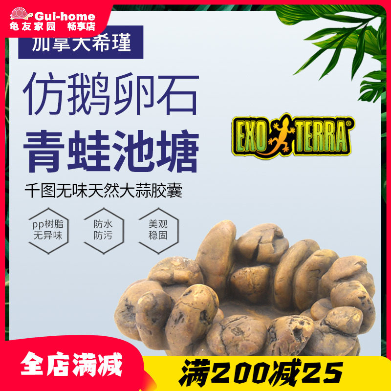 希瑾爬宠水盆青蛙池角蛙树蛙黄金姥爷非洲小丑娃水盆蓄水槽造景