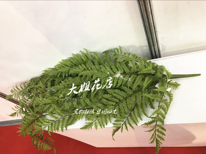 仿真蕨草假花植物墙肾蕨装饰塑料盆栽花盆景墙面绿植波斯叶