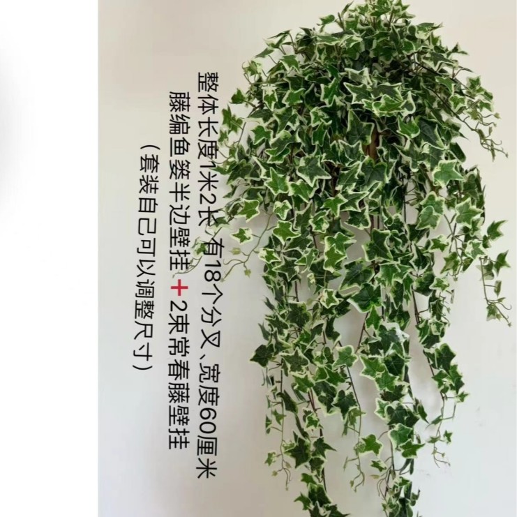 仿真常春藤假花藤条装饰遮挡挂墙绿植壁挂植物吊兰藤蔓绿叶垂吊,鲜花速递/花卉仿真/绿植园艺,仿真绿植,淘宝优惠券,粉丝福利购,淘宝优惠卷