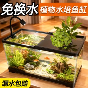 鱼缸客厅2025新款 小鱼缸小型龟缸生态亚克力水族箱免打理家用桌面