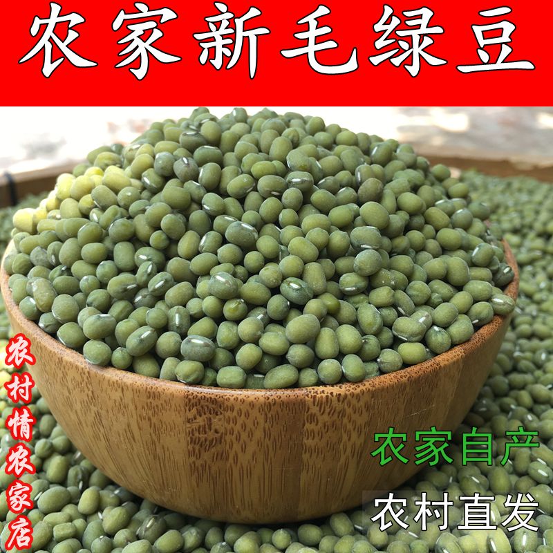 农家新毛绿豆老品种易出沙口感好