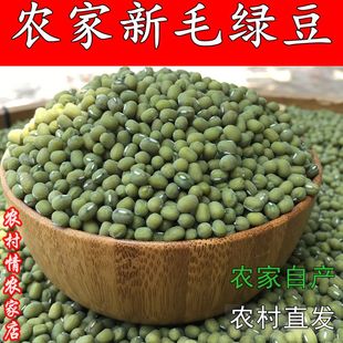 2025农家新毛绿豆好煮烂易出沙笨绿豆粥汤发豆芽老品种皮薄农村情