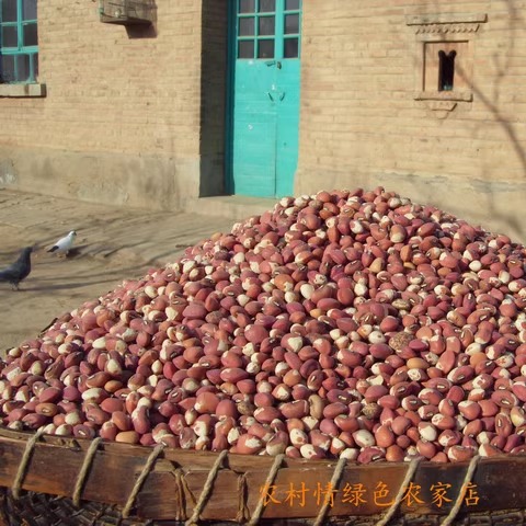 饭豆农家花豇豆2025年新