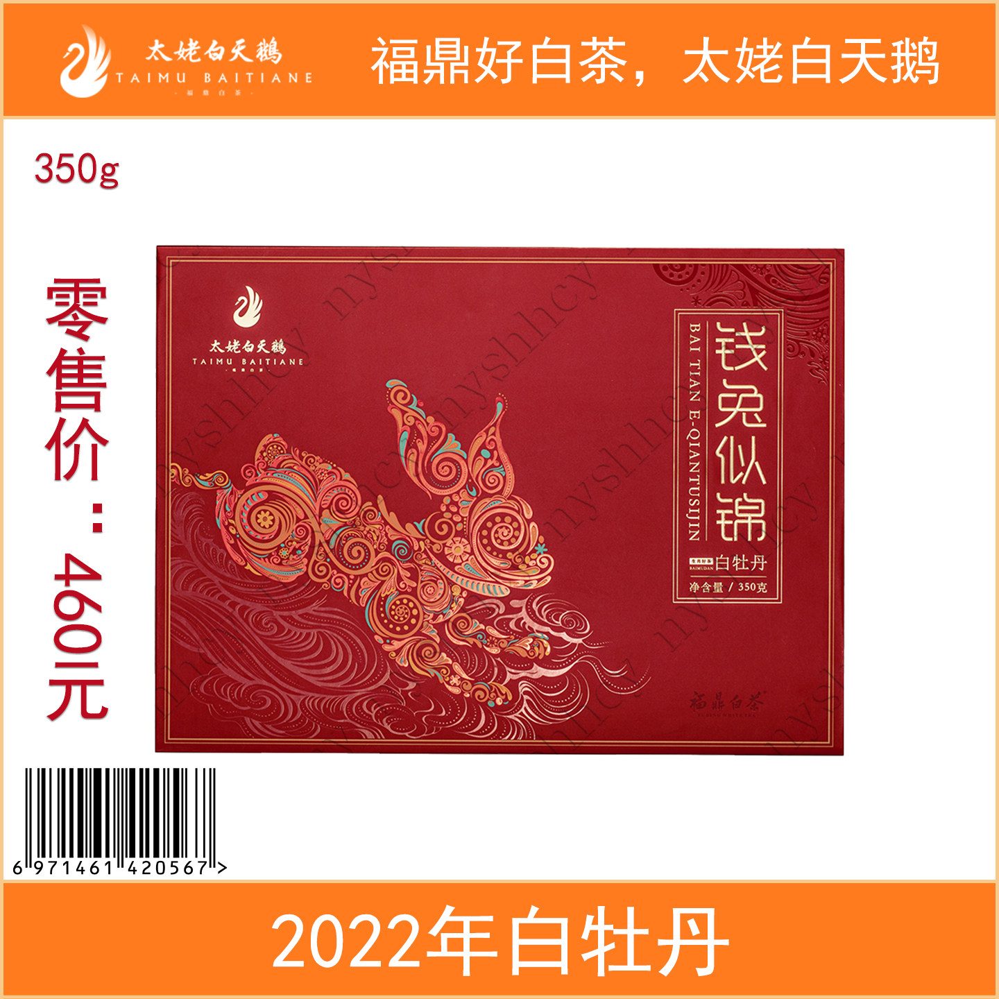 太姥白天鹅钱兔似锦2022年白牡丹