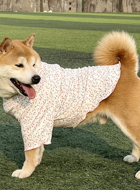 狗狗防晒二脚衣萨摩耶金毛哈士奇边牧防掉毛透气中大型犬宠物衣服