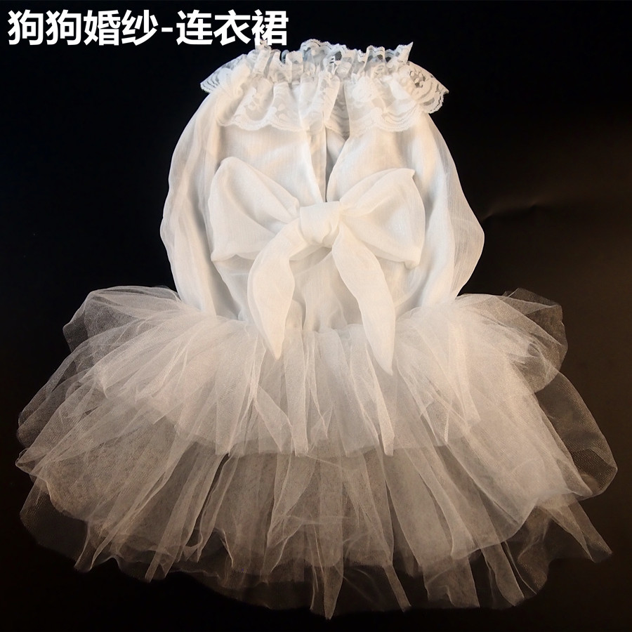 金毛白婚纱宠物狗狗秋田萨摩裙子