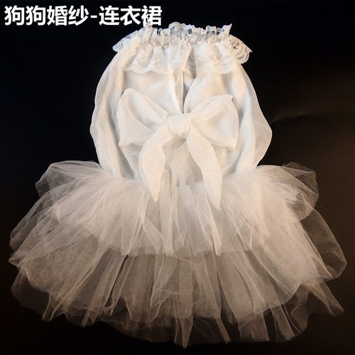 金毛白婚纱宠物狗狗秋田萨摩裙子