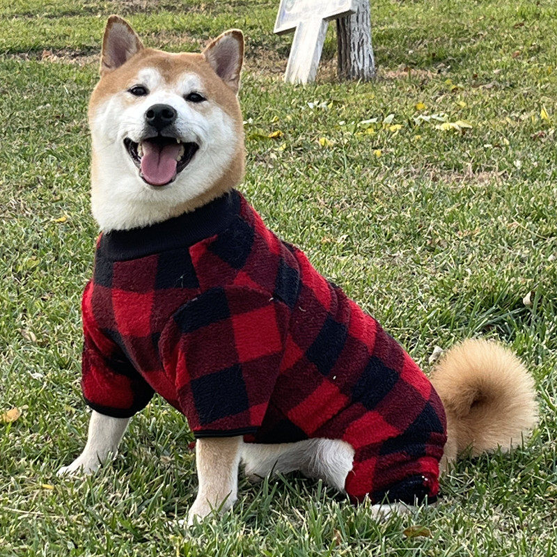 狗狗衣服秋冬金毛中型犬大型犬宠物边牧大狗拉布拉多加绒四脚冬装,宠物/宠物食品及用品,狗宠物服装/雨衣,淘宝优惠券,粉丝福利购,淘宝优惠卷