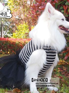 中大型犬婚纱礼服宠物裙子春夏装狗狗衣服金毛边牧可卡银狐蓬蓬裙