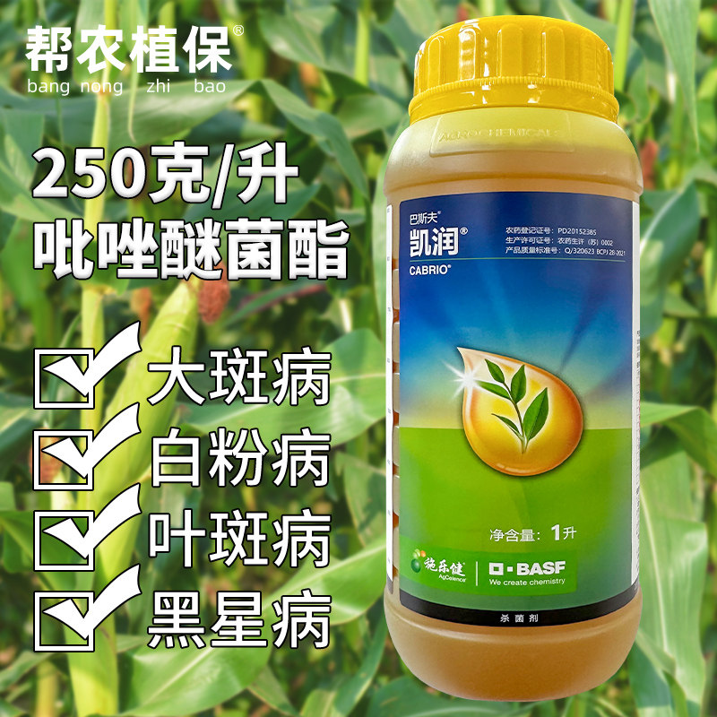 德国巴斯夫凯润吡唑醚菌酯杀菌剂