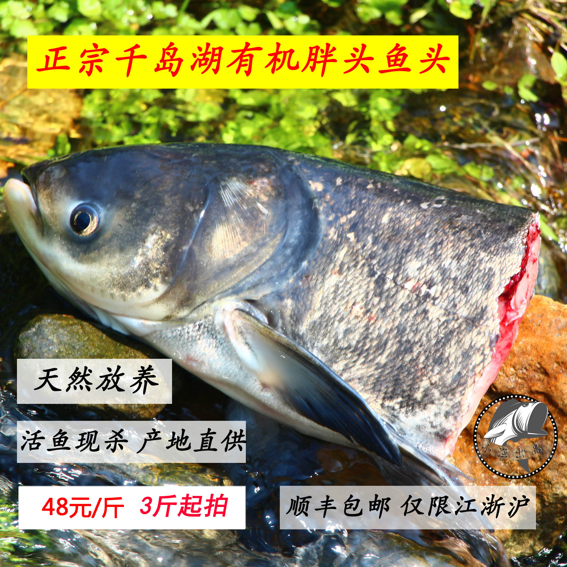 千岛湖鱼头野生鱼头有机胖头鱼新鲜水产大头鱼头鲜活鳙鱼花鲢鱼头