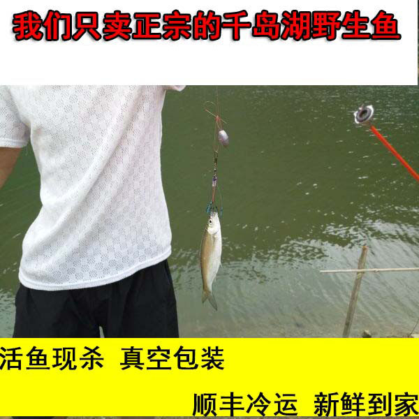 千岛湖鱼野生小溪鱼 青条丝鱼小白条鱼鲜活淡水鱼小鱼青鳞子500g