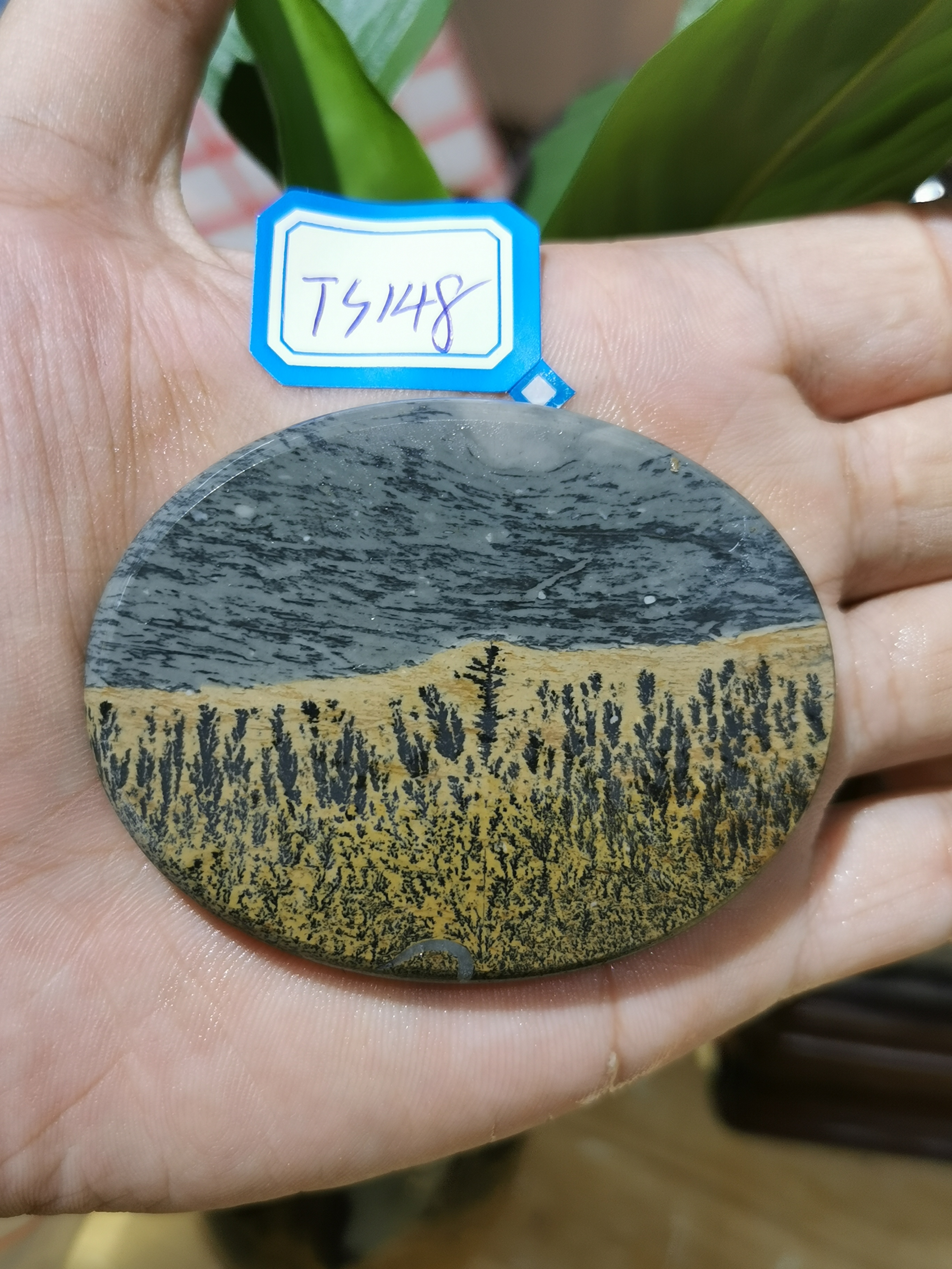 天然石广西草花石奇石国画石山水花纹6cm椭圆片茶杯垫手把玩挂件
