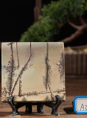 草花石装饰中式客厅书桌茶桌杯垫