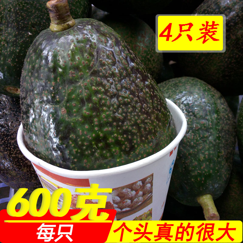Myanmar Big Mac 600g wild Avocado Avocado fresh Fruit 4 Guarantee to pay compensationsin the Aquatic meat/Fresh fruits and vegetables/Cooked , Fresh fruit , Avocado  category - from Buy2taobao.com to provide professional Taobao agent buy service