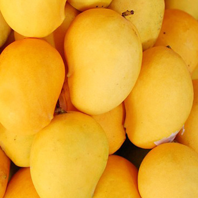 云南缅甸圣德龙芒果新鲜应季水果精品大芒果20斤装坏果包赔