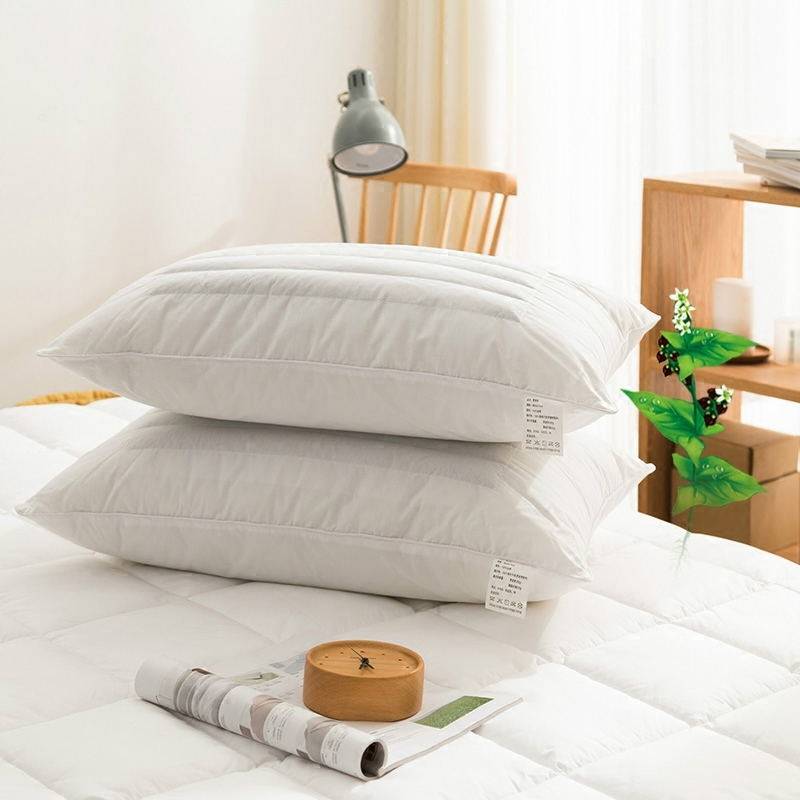 单人荞麦皮枕头家用枕芯一对装护颈椎成人酒店单个秋冬荞麦壳两用