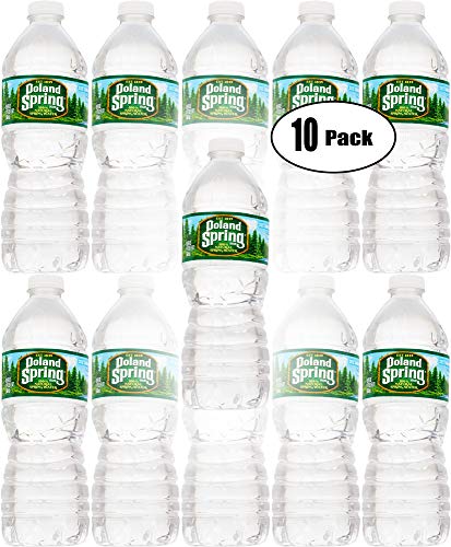 Poland Spring 100% Natural Spring Water, 16.9 Bott