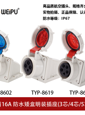 TYP-8602-8619-8624插座明装16A3P4芯5P防水连接器IP67工业插威浦