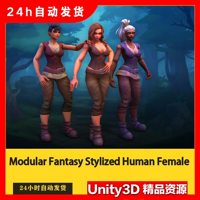 Unity Modular Fantasy Stylized Human Female