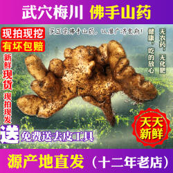 【新鲜现挖】武穴佛手山药梅川佛手山药蕲春黄梅天然种植营养健康