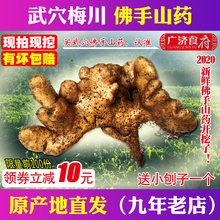 【新鲜现挖】武穴佛手山药梅川佛掌山药天然种植营养健康2500克