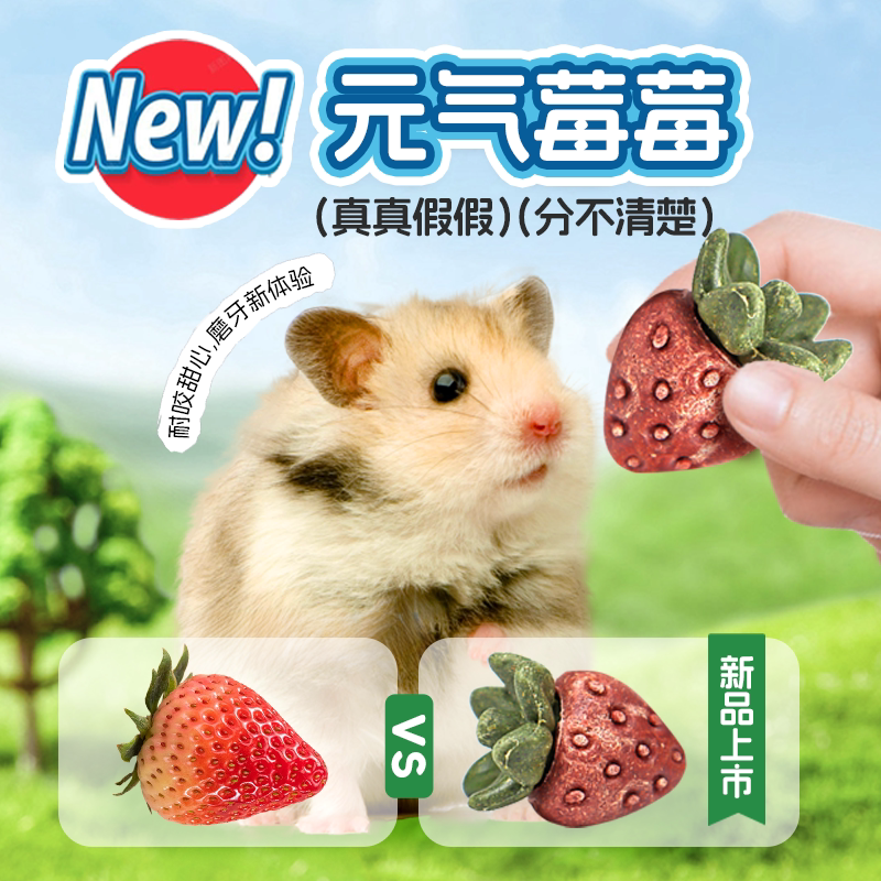 TEEWY萃微益草莓造型磨牙棒磨牙零食饼干仓鼠龙猫兔子花枝鼠玩具图片