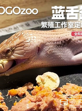 爬宠蓝舌罐头蜥蜴粮全价主食多种营养丰富配比适口佳爬虫专用饲料