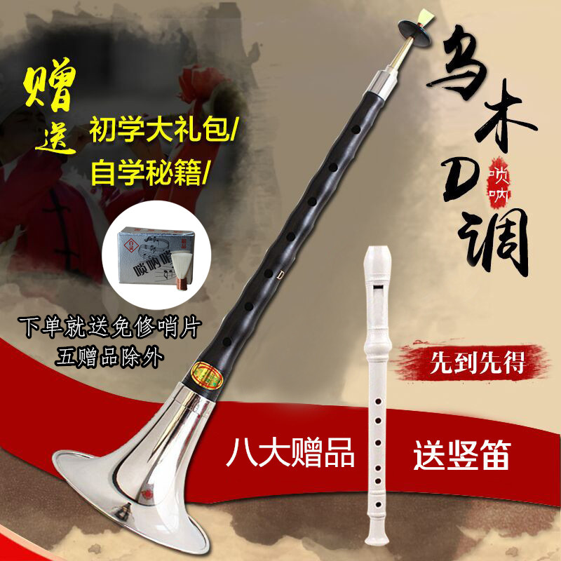 包?#39318;?#19994;黑檀乌木唢呐D调红木d调唢呐成人初学者唢呐乐器全套