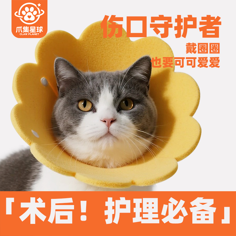 伊丽莎白圈猫咪软圈绝育防舔轻便