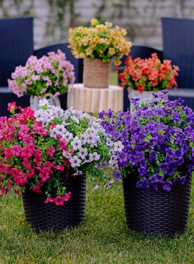 爆款 Artificial Flowers for Outdoors 7叉户外人造花罗兰花