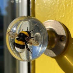 爆款 Unique decorative door handle 独特的门把手装饰