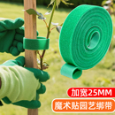 爬藤绿植物绑带造型魔术贴花园带双面粘园艺扎线捆绑支撑插花固定