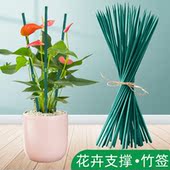 绿色竹签植物花卉防倒支撑杆室内外绑花固定支架插花杆金钱树单杆