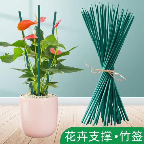 花卉支撑绿色竹签防倒伏插花杆