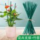 绿色竹签植物花卉防倒支撑杆室内外绑花固定支架插花杆金钱树单杆