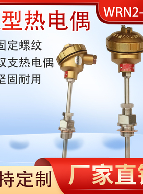 上仪三厂K型热电偶WRN2-230/231锅炉电厂双支固定螺纹温度传感器