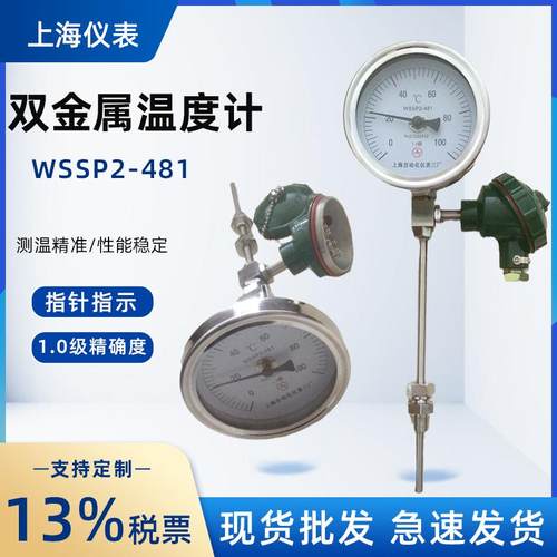 WSSP2-481双金属温度计
